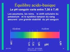 Santé Nutrition :  L'EQUILIBRE ACIDO-BASIQUE 